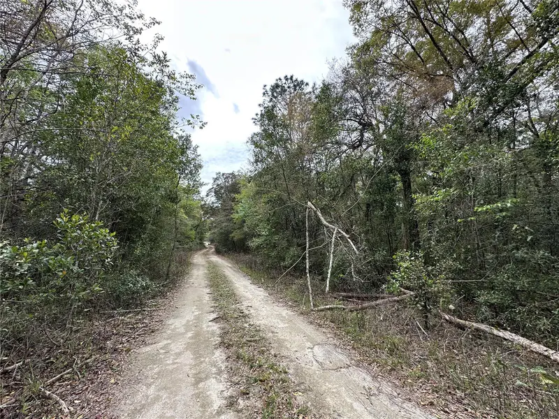Tbd Ne 154th Ter, FL