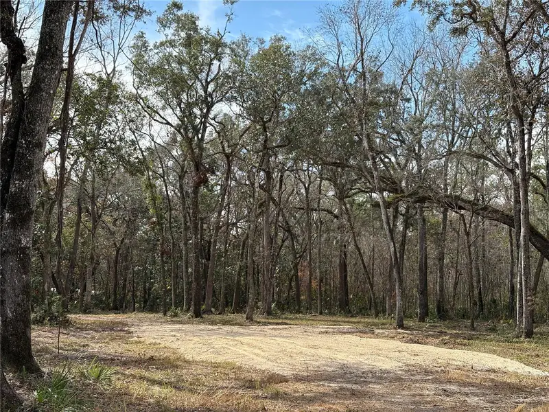 Lake Lindsey Road, FL