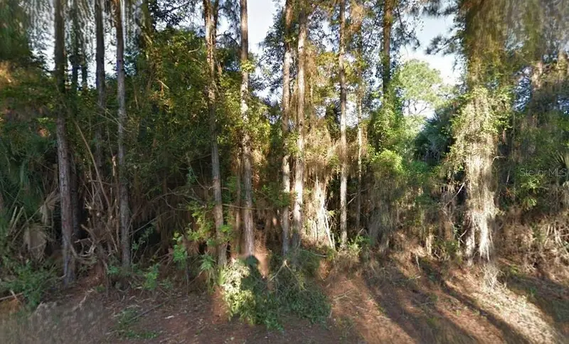Lutz Rd, FL