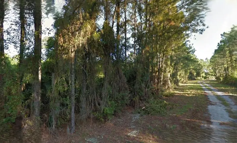 Lutz Rd, FL