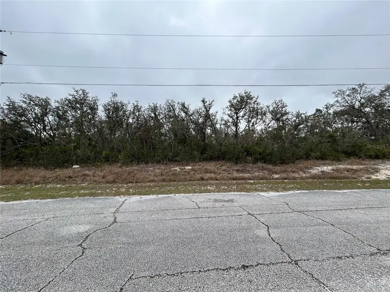 509 Sarasota Ln, FL