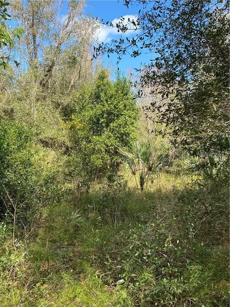 W Beresford Rd, FL