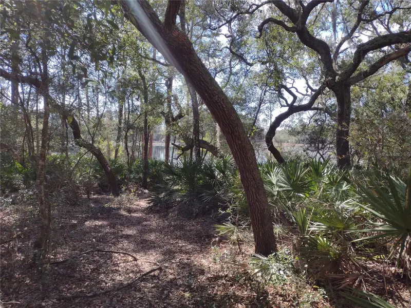 89 Tucker Lake Rd, FL