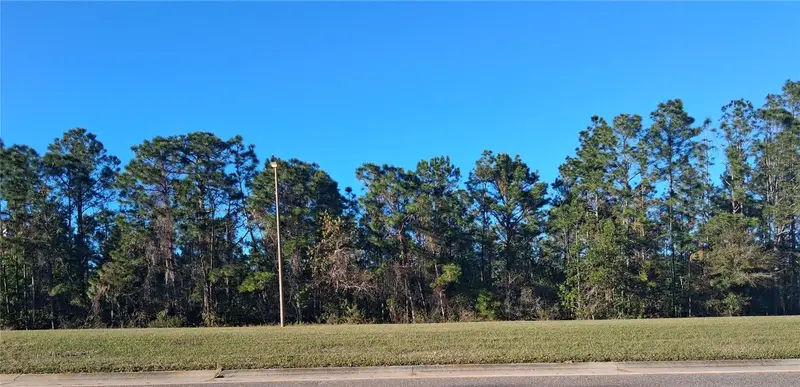 International Dr S, FL