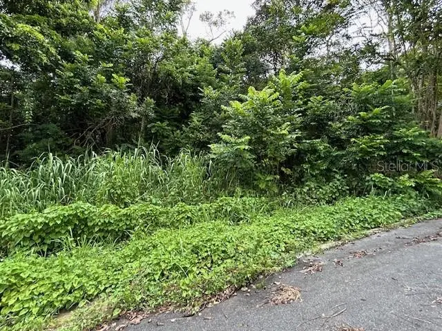 Campo Nuevo-Azucena 2, PR