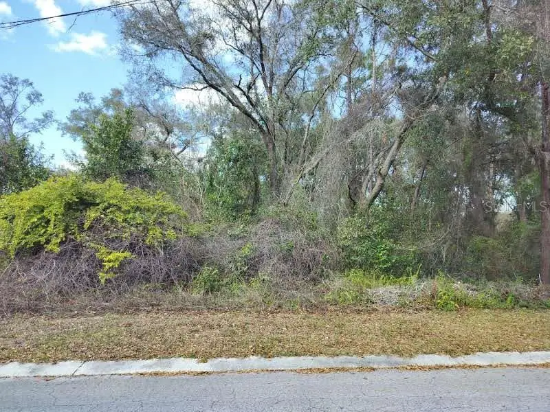 204 Adelphi St, FL