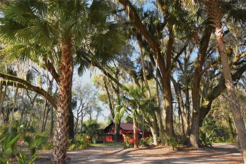 1302 Se Wacahoota Rd, FL