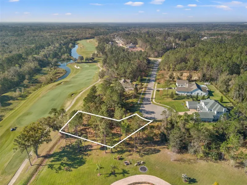 20132 English Walnut Pl, FL