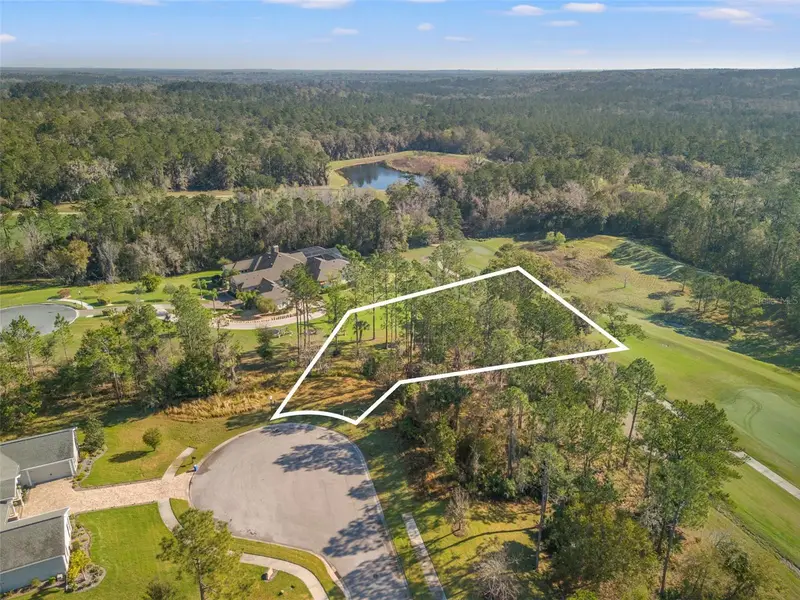 20132 English Walnut Pl, FL