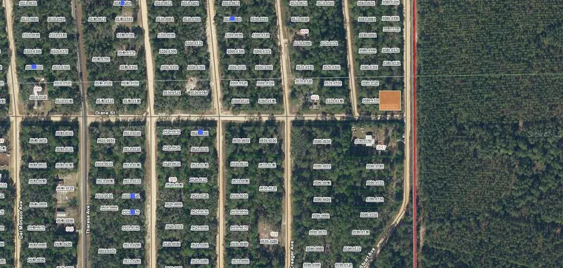 Diane St, FL