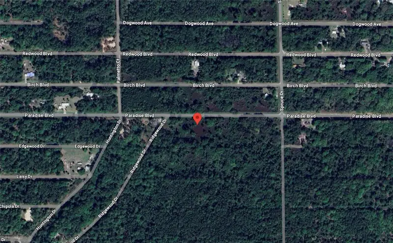 817 Paradise Blvd, FL