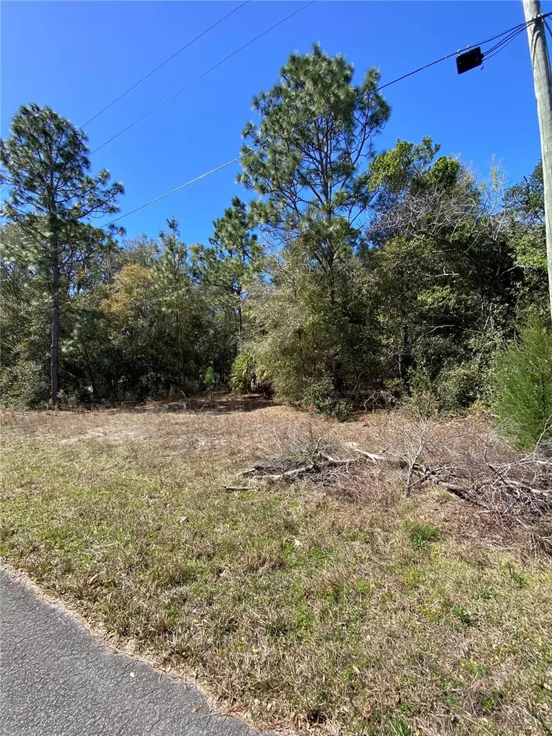 8630 N Catapane Loop, FL
