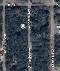 Annette Ave, FL