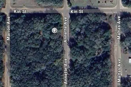 Annette Ave, FL