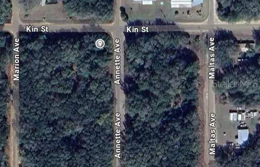 Annette Ave, FL
