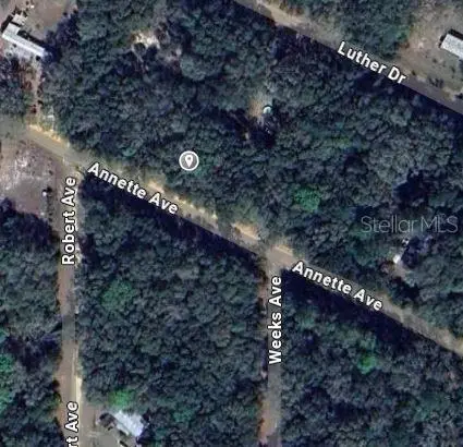 Annette Ave, FL