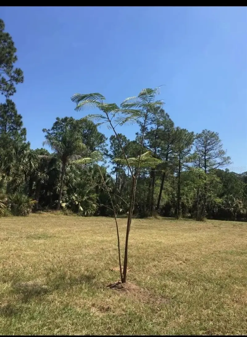 2370 Thacker Trl, FL