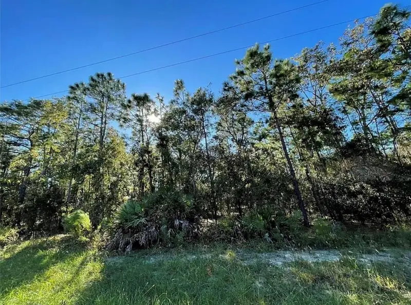 16 Mayten Ct N, FL