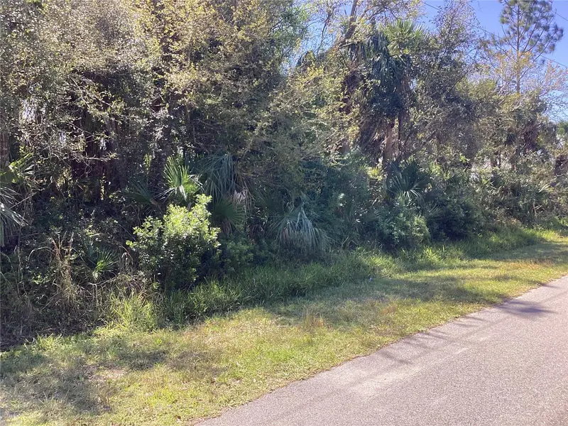 Belleville Ter, FL