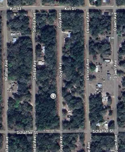 Guy Ave, FL