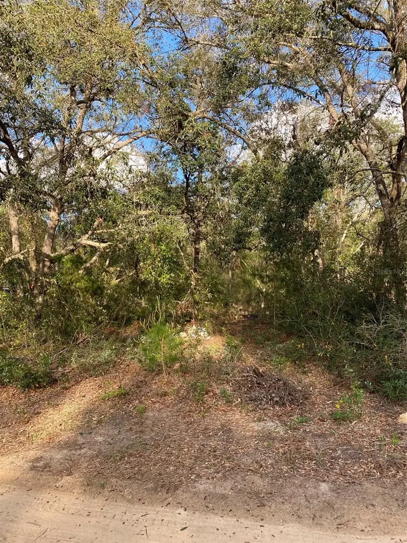 Dogwood Way, FL