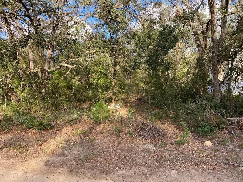 Dogwood Way, FL