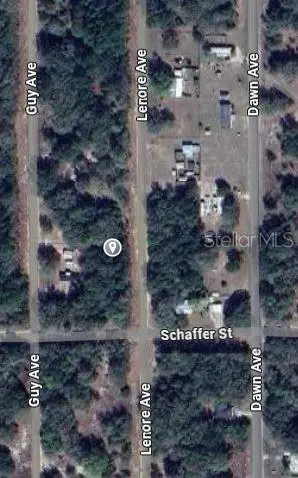 Lenore Ave, FL