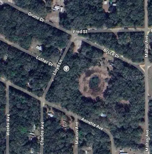 Lloyd Dr, FL