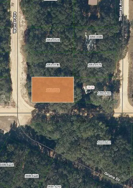 00 Denise St, FL