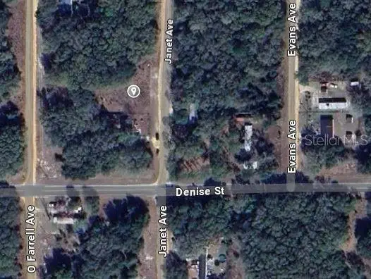905 Janet Ave, FL