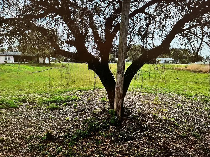 Lot 62&63 Hernando Rd, FL