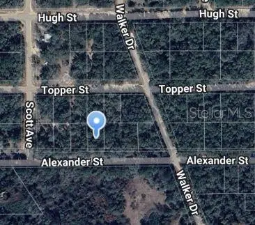 00 Alexander St, FL