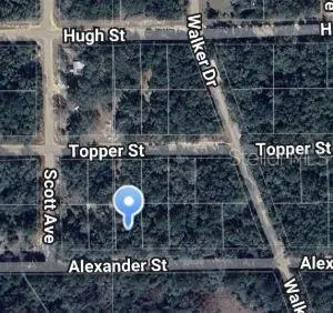 00 Alexander St, FL