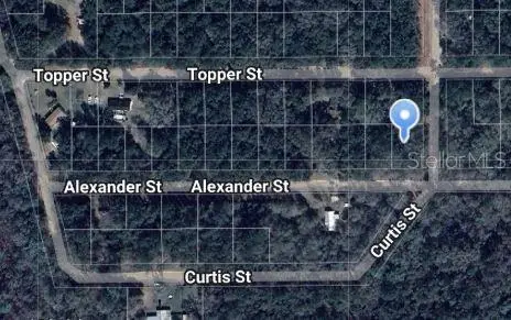 Alexander St, FL