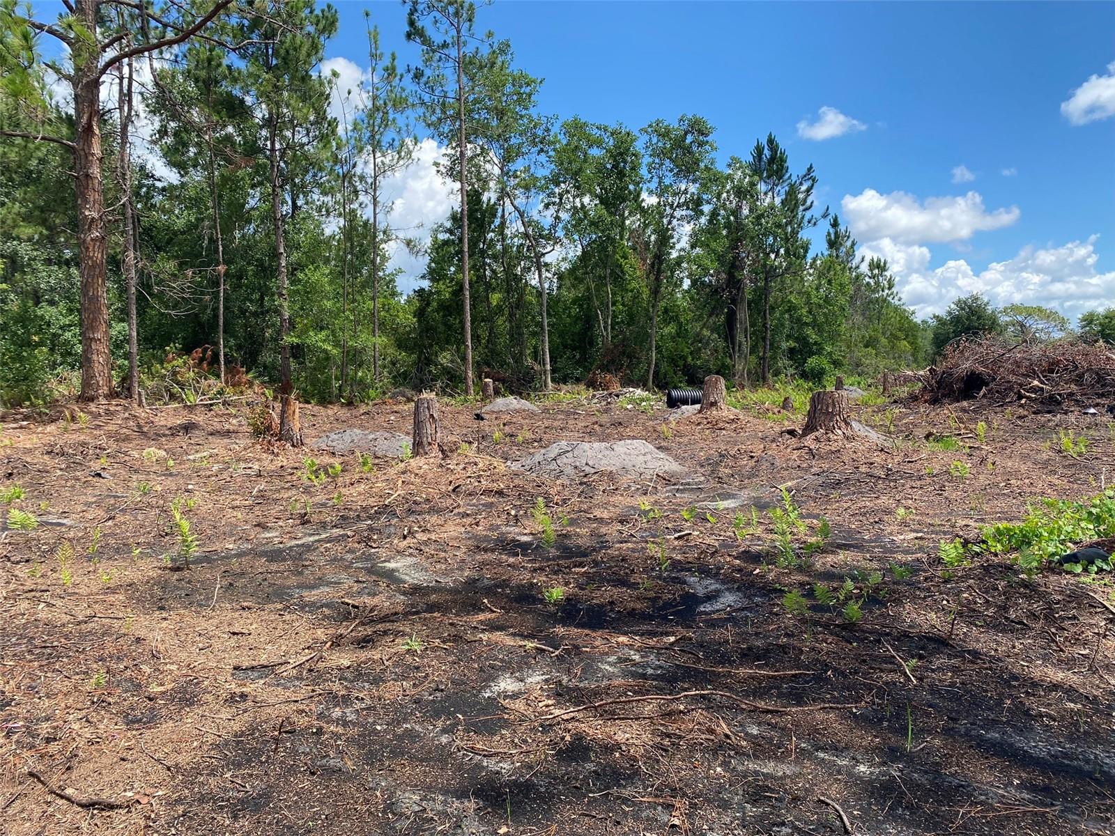 2101 W Frostproof Rd, FL