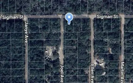 Joel Ave, FL