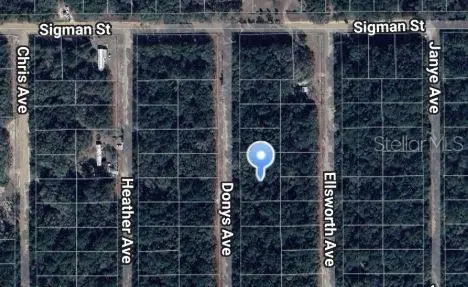 Donys Ave, FL