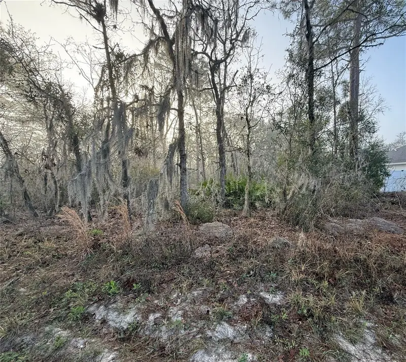 16009 Sw 57th Terrace Rd, FL