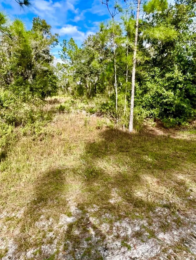 Oleander Dr, FL