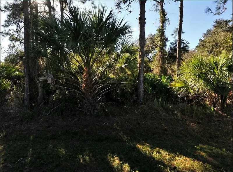 Lot 17 Ruiz St, FL
