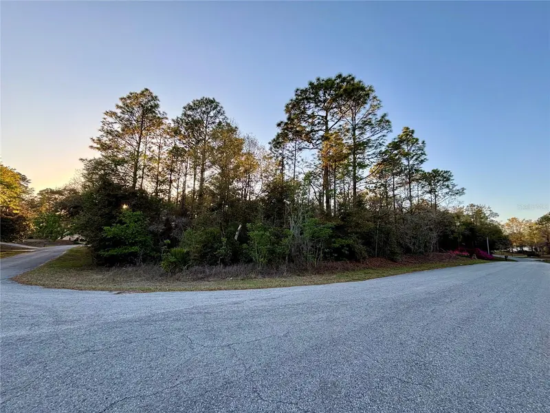 Lot 33 Sw 97 Pl, FL