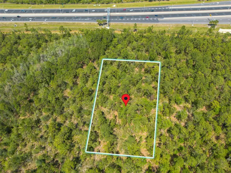 Sr-535, FL