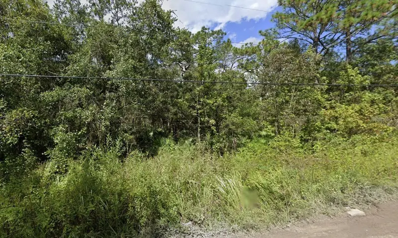 00 Morton St, FL