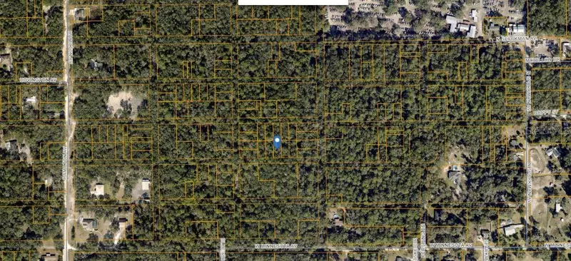 Hamilton Ave, FL