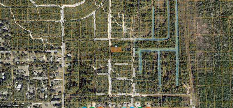 Hollyhock E, FL