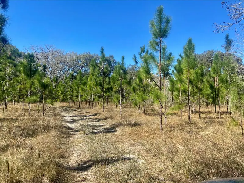 01 Unnamed, FL