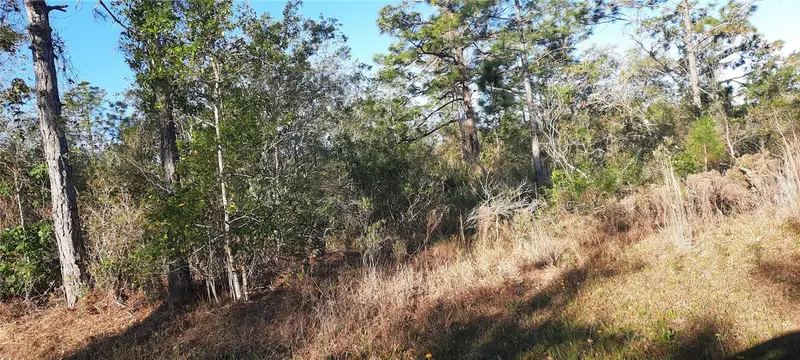 623 Granada Dr, FL