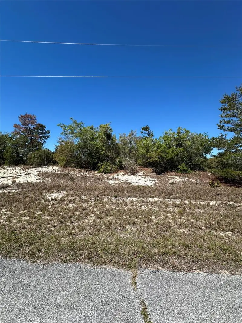 1386 Homosassa Dr, FL