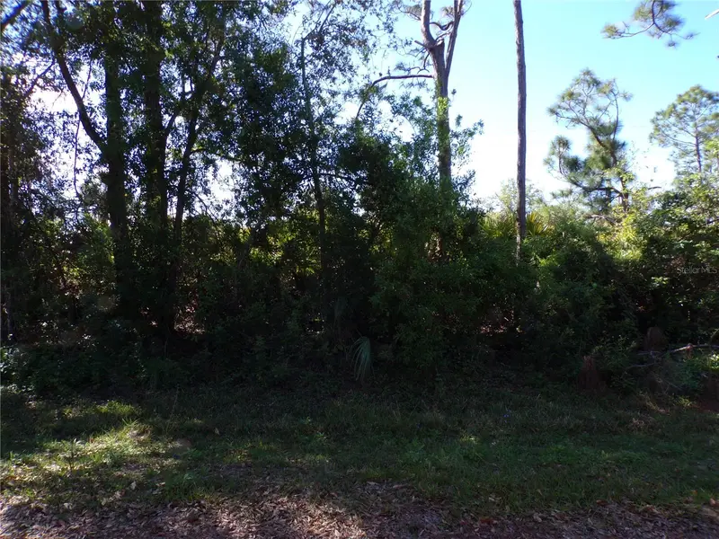 26251 Hapsburg Rd, FL