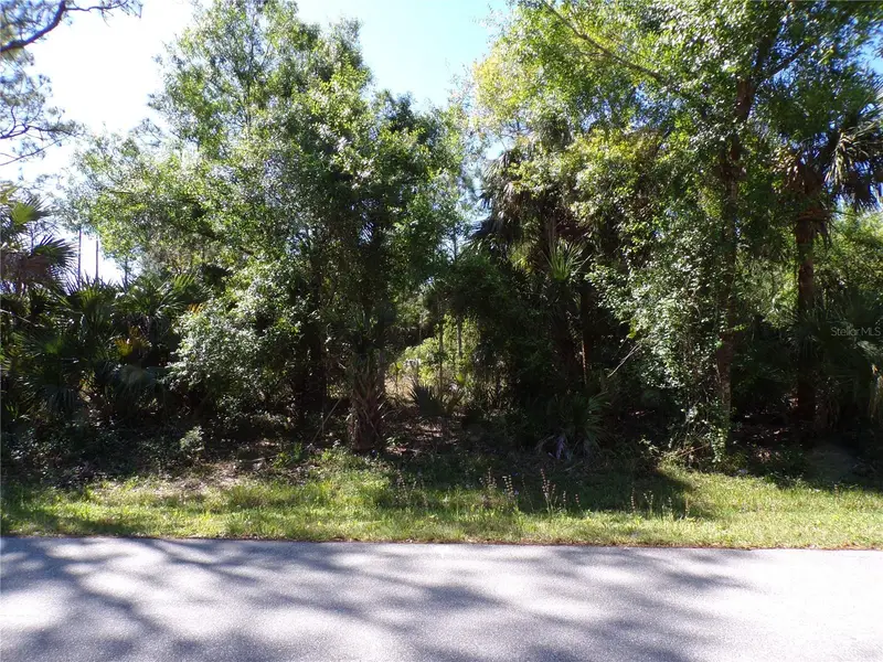 26215 Custer Rd, FL
